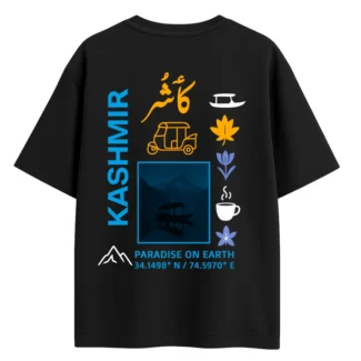 kashmir city graffiti