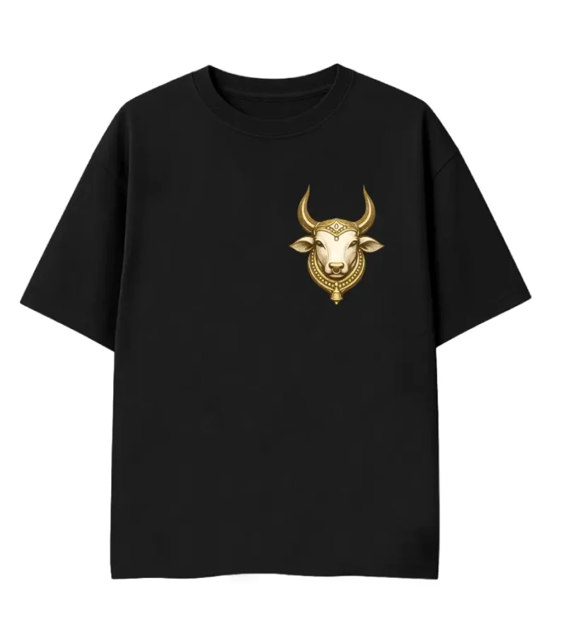 nandi tandav front mockup